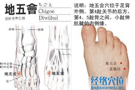 地根穴|醫砭 » 經穴庫 » 地五會